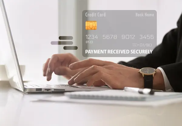 E-commerce Payment Gateway | Omega Software